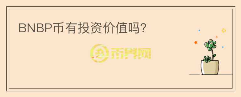 BNBP幣有投資價(jià)值嗎？