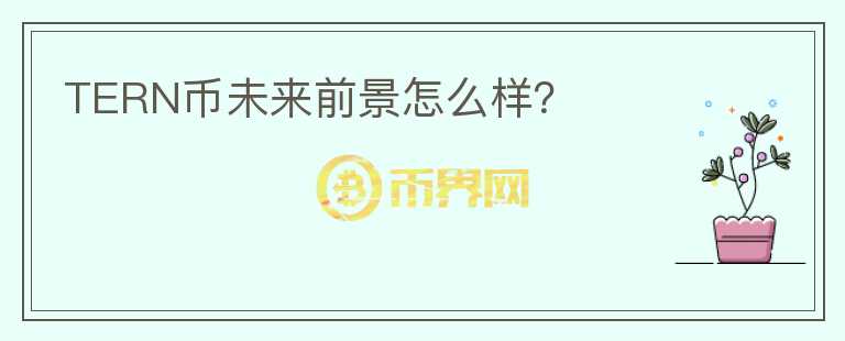 TERN幣未來前景怎么樣？