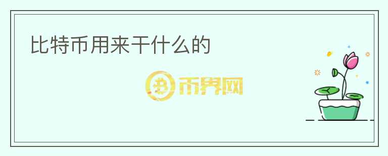 比特幣用來干什么的