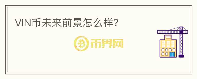 VIN幣未來前景怎么樣？