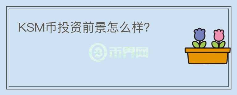 KSM幣投資前景怎么樣？