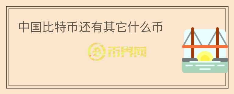 中國(guó)比特幣還有其它什么幣