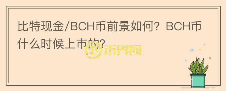 比特現(xiàn)金/BCH幣前景如何？BCH幣什么時(shí)候上市的？