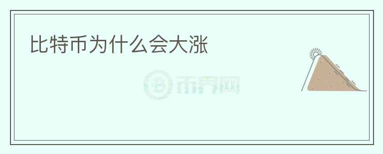 比特幣為什么會(huì)大漲