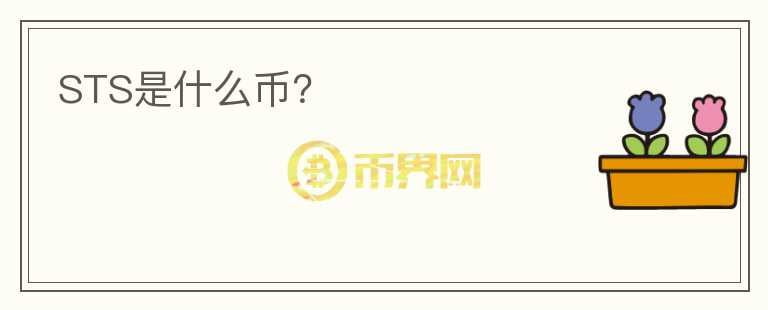STS是什么幣？