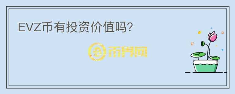 EVZ幣有投資價值嗎？