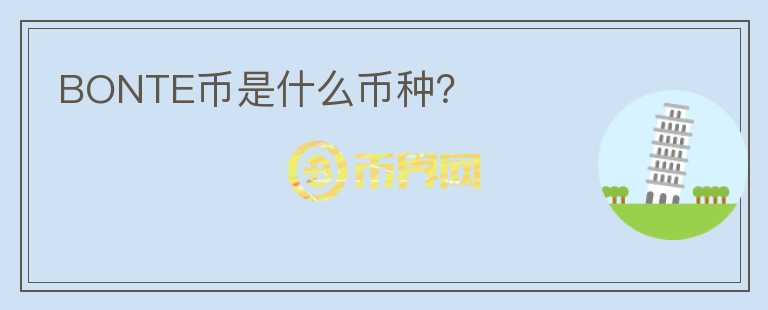 BONTE幣是什么幣種？