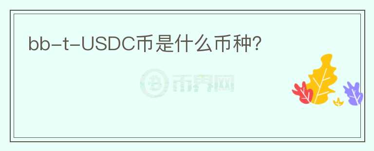 bb-t-USDC幣是什么幣種？