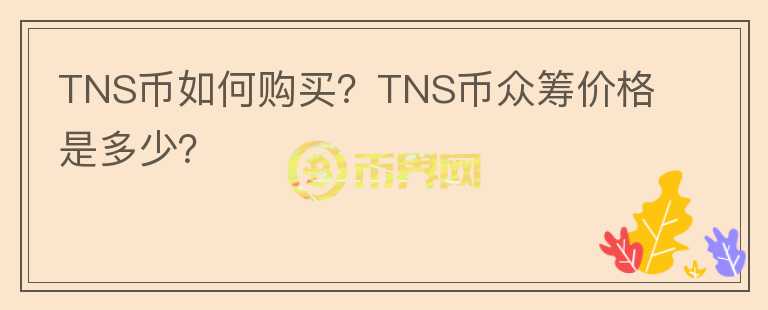 TNS幣如何購買？TNS幣眾籌價(jià)格是多少？