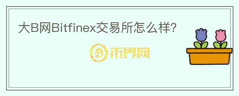 大B網(wǎng)Bitfinex交易所怎么樣？