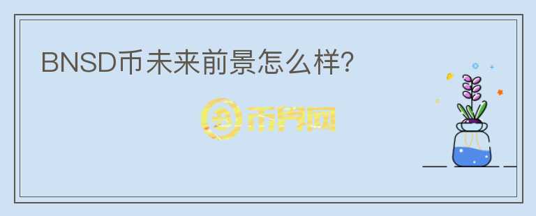 BNSD幣未來前景怎么樣？