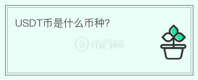 USDT幣是什么幣種？