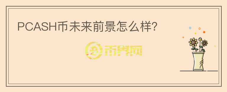 PCASH幣未來前景怎么樣？