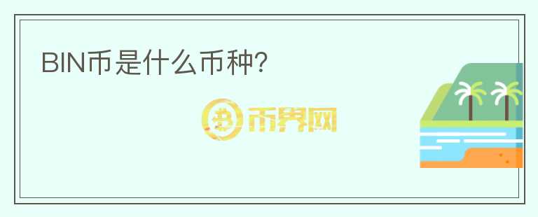 BIN幣是什么幣種？
