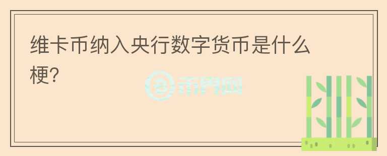 維卡幣納入央行數(shù)字貨幣是什么梗？