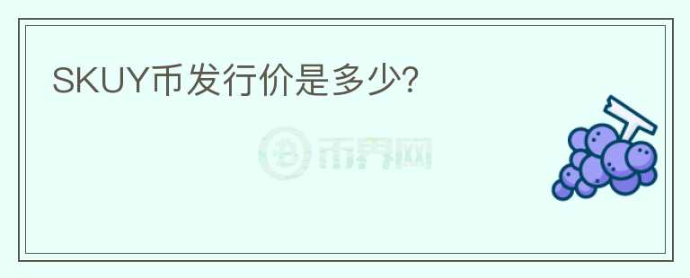 SKUY幣發(fā)行價是多少？