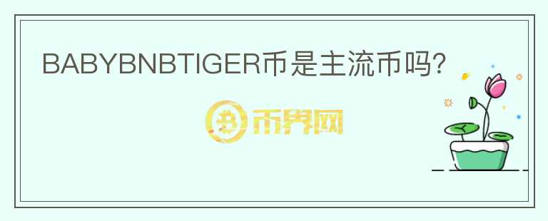 BABYBNBTIGER幣是主流幣嗎？