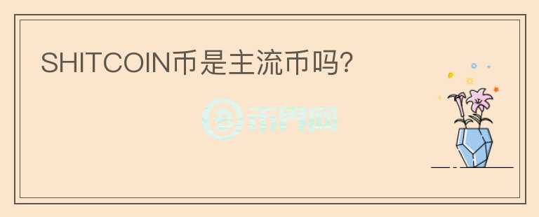SHITCOIN幣是主流幣嗎？