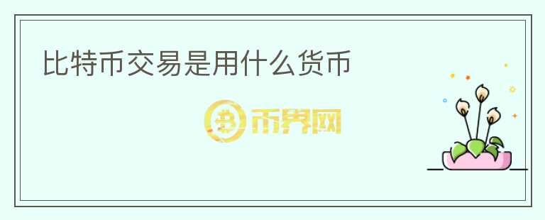 比特幣交易是用什么貨幣