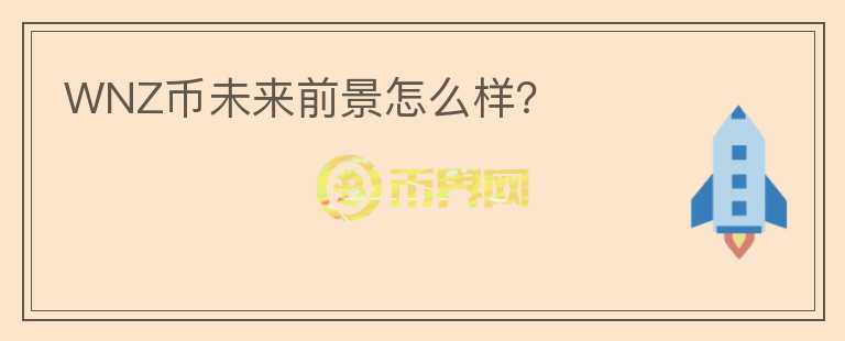 WNZ幣未來(lái)前景怎么樣？