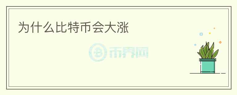 為什么比特幣會大漲