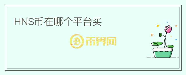 HNS幣在哪個(gè)平臺(tái)買