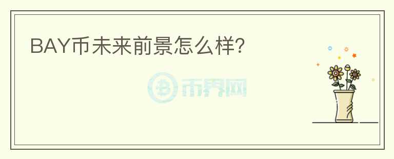 BAY幣未來前景怎么樣？
