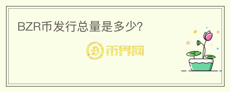 BZR幣發(fā)行總量是多少？