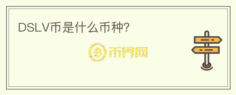 DSLV幣是什么幣種？