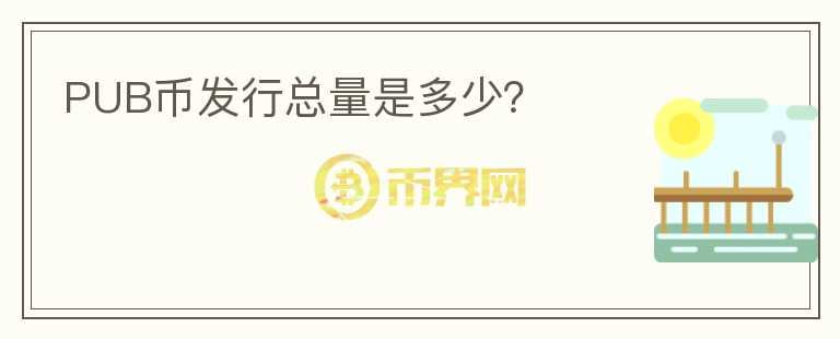 PUB幣發(fā)行總量是多少？