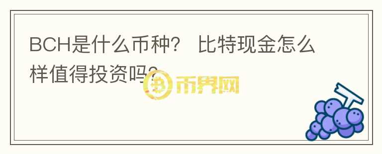 BCH是什么幣種？ 比特現(xiàn)金怎么樣值得投資嗎？