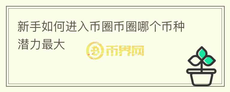 新手如何進入幣圈幣圈哪個幣種潛力最大