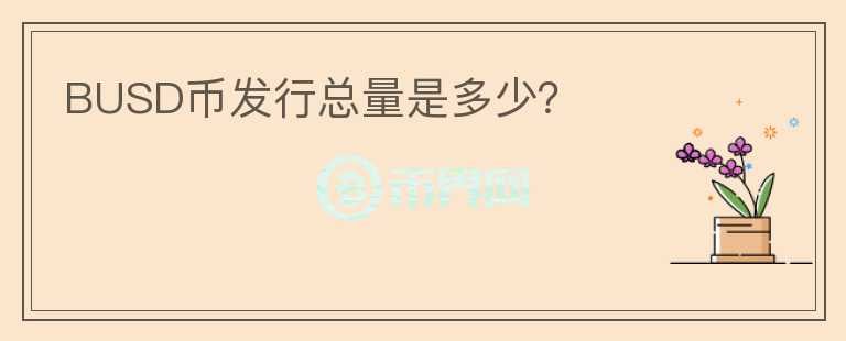 BUSD幣發(fā)行總量是多少？