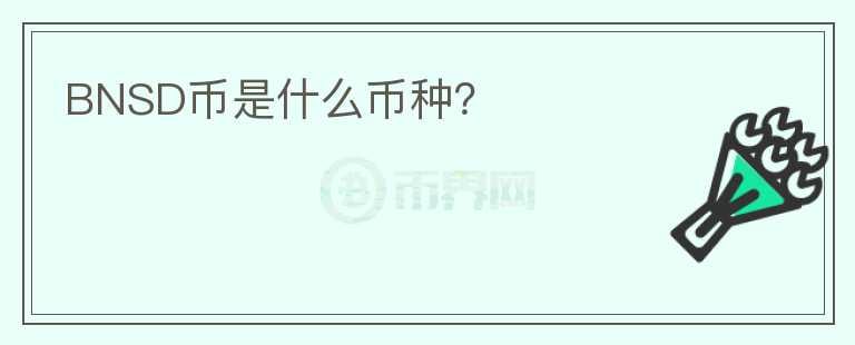 BNSD幣是什么幣種？
