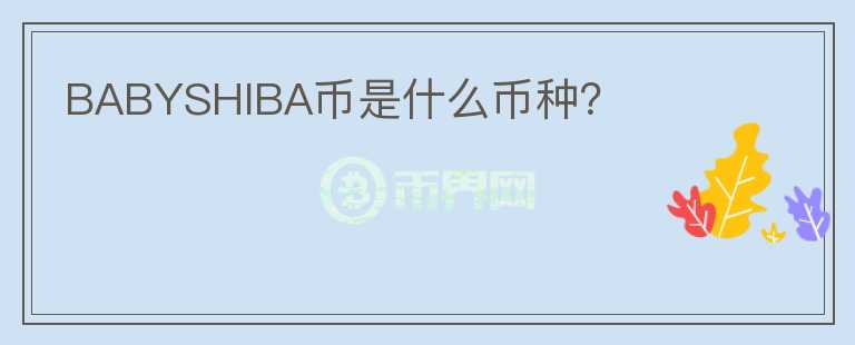 BABYSHIBA幣是什么幣種？