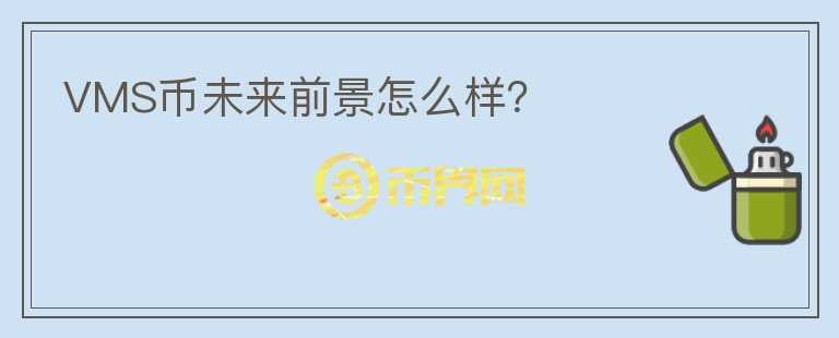 VMS幣未來前景怎么樣？