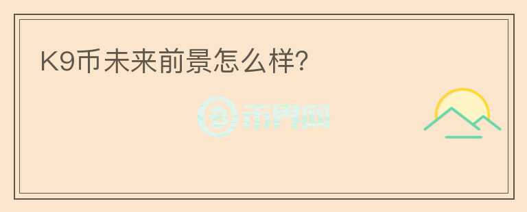 K9幣未來前景怎么樣？