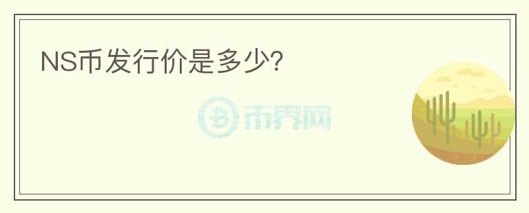 NS幣發(fā)行價是多少？