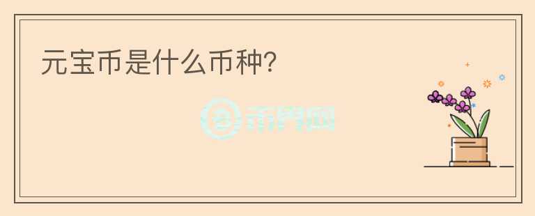 元寶幣是什么幣種？