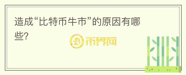 造成“比特幣牛市”的原因有哪些？