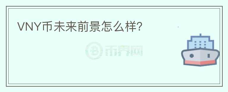 VNY幣未來(lái)前景怎么樣？