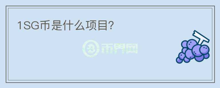1SG幣是什么項目？