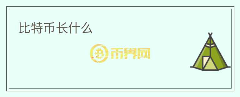 比特幣長什么