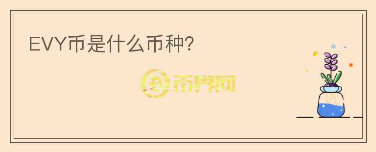 EVY幣是什么幣種？