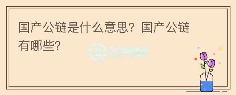 國產(chǎn)公鏈是什么意思？國產(chǎn)公鏈有哪些？