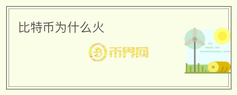 比特幣為什么火