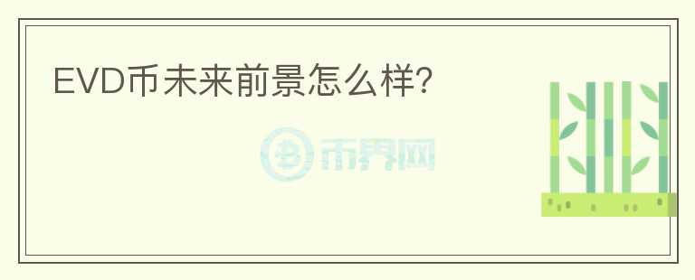 EVD幣未來前景怎么樣？