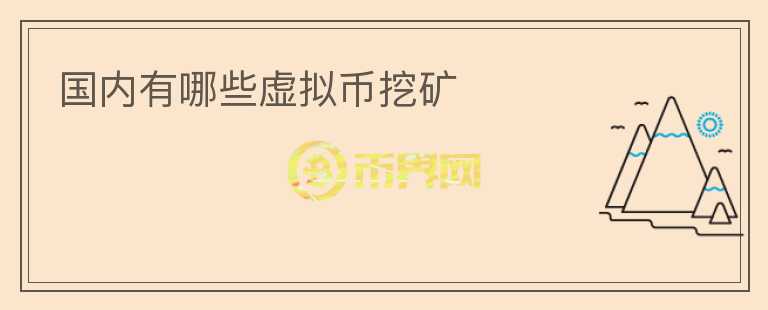 國內(nèi)有哪些虛擬幣挖礦
