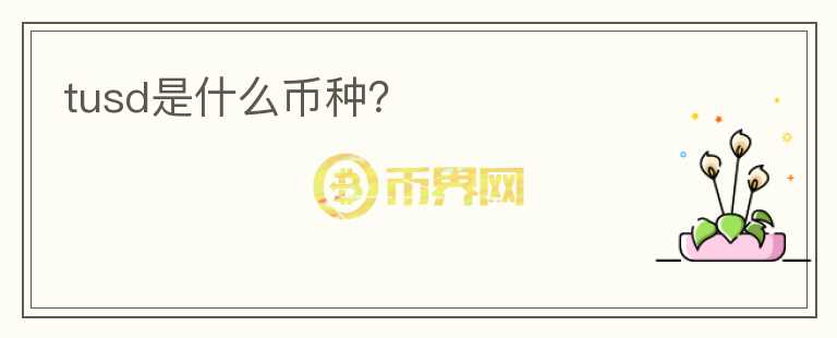 tusd是什么幣種？