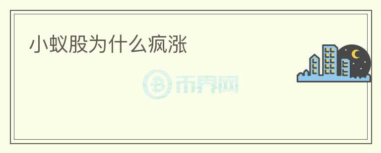 小蟻股為什么瘋漲
